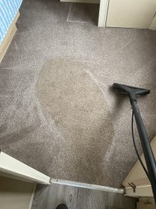 wand carpet clean
