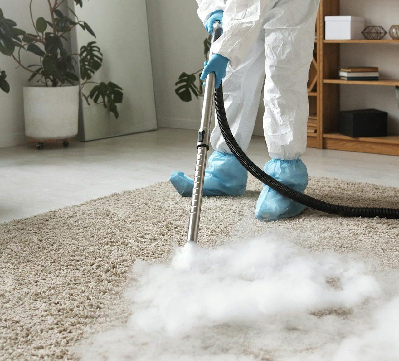 Expert Exmouth Carpet Restoration Professional steam cleaning removing embedded estuary silt and sand from a premium wool hallway runner in an Exmouth coastal property