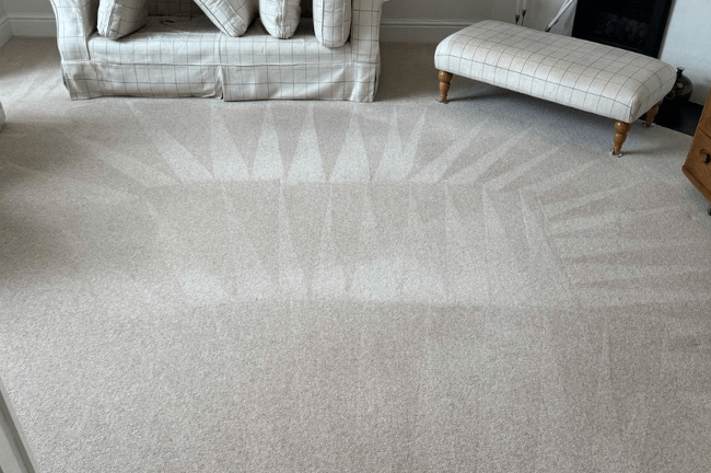 Freshly cleaned wall-to-wall carpet in an empty rental property ready for inventory check.