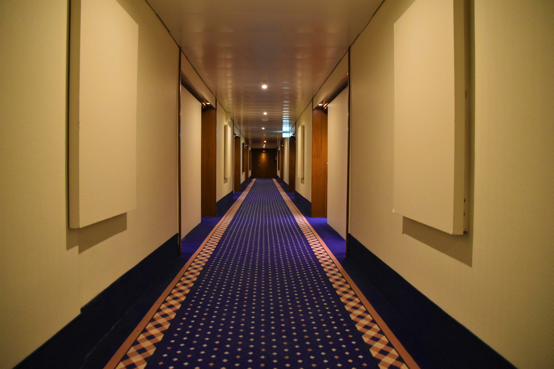 Commercial Hotel Carpet Restoration Wide view of a spotless, beautifully restored deep-pile carpet in a luxury hotel hallway.